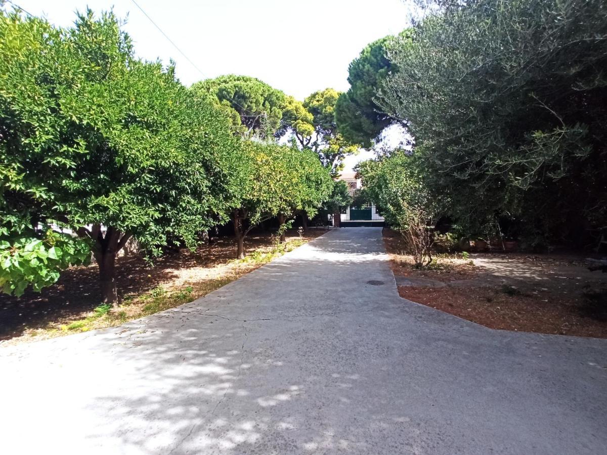 شقة Σπίτι Στο Ρίο Πατρών Με Κήπο - Detached House In Rio With Garden المظهر الخارجي الصورة
